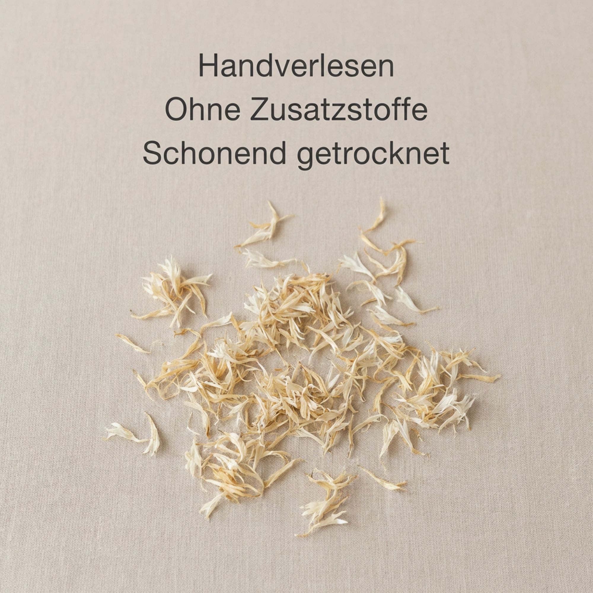 Kornblumenblüten Weiß