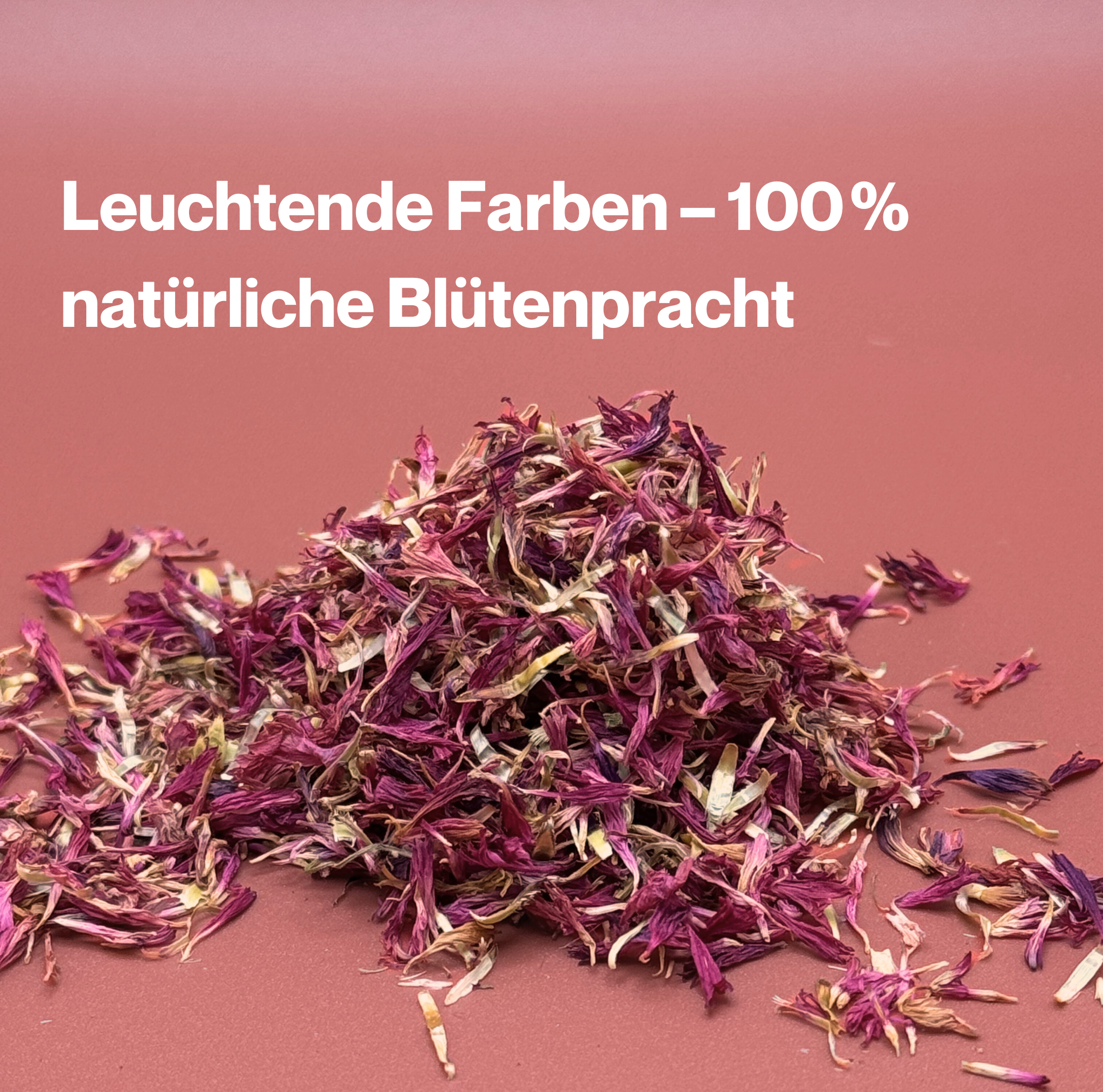 Kornblumenblüten Rot