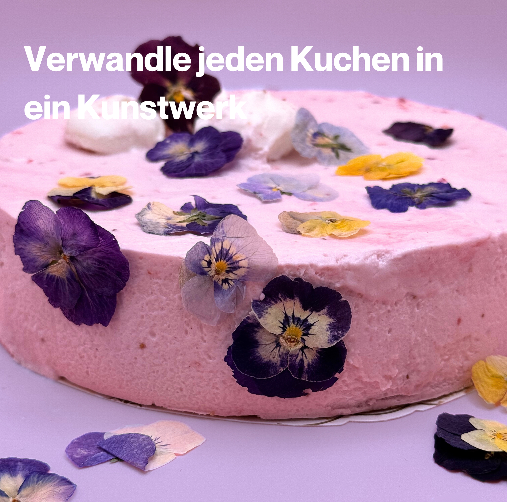 Veilchen Blüten-Mix
