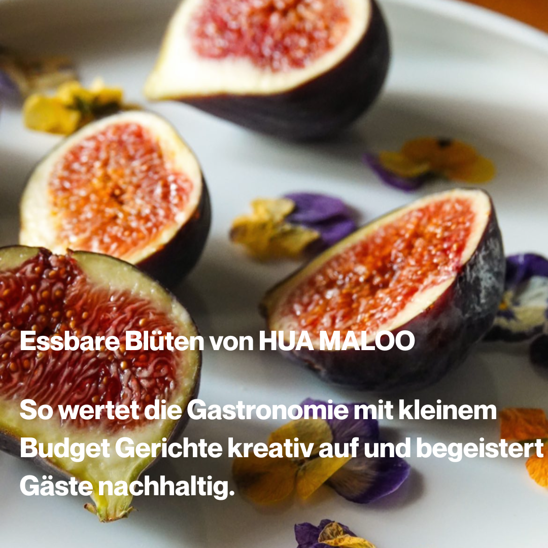 Mit Blüten glänzen: Wie HUA MALOO die Gastronomie auch mit kleinem Budget veredelt
