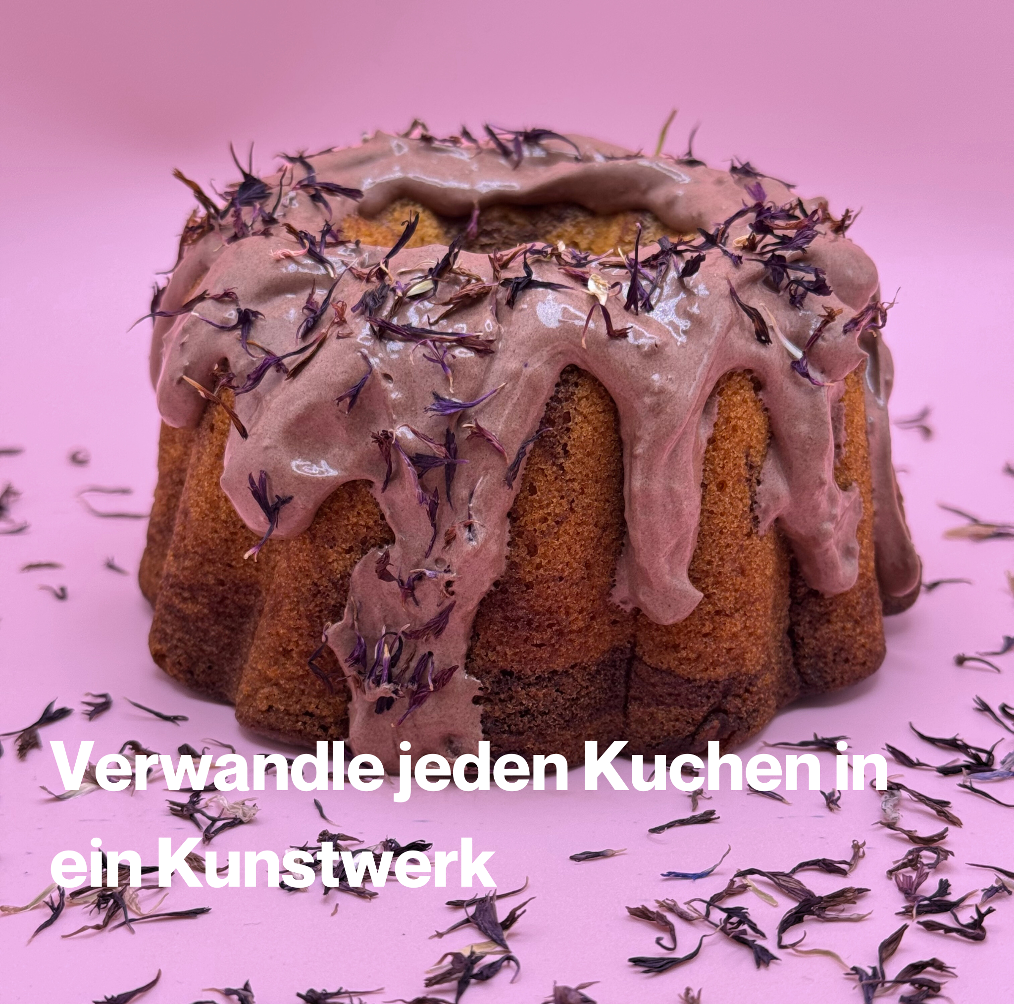 Kornblumenblüten Violet