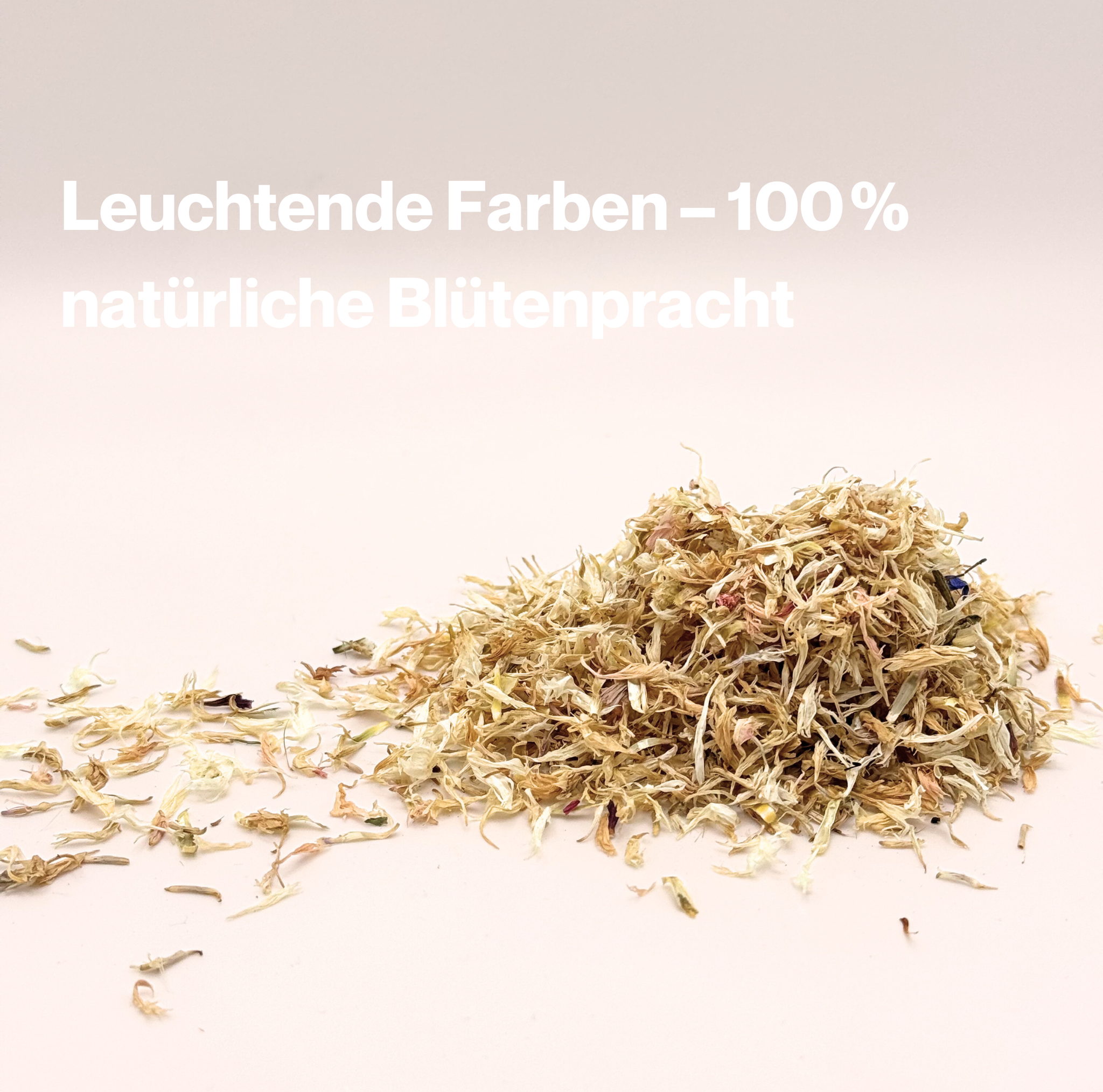 Kornblumenblüten Weiß