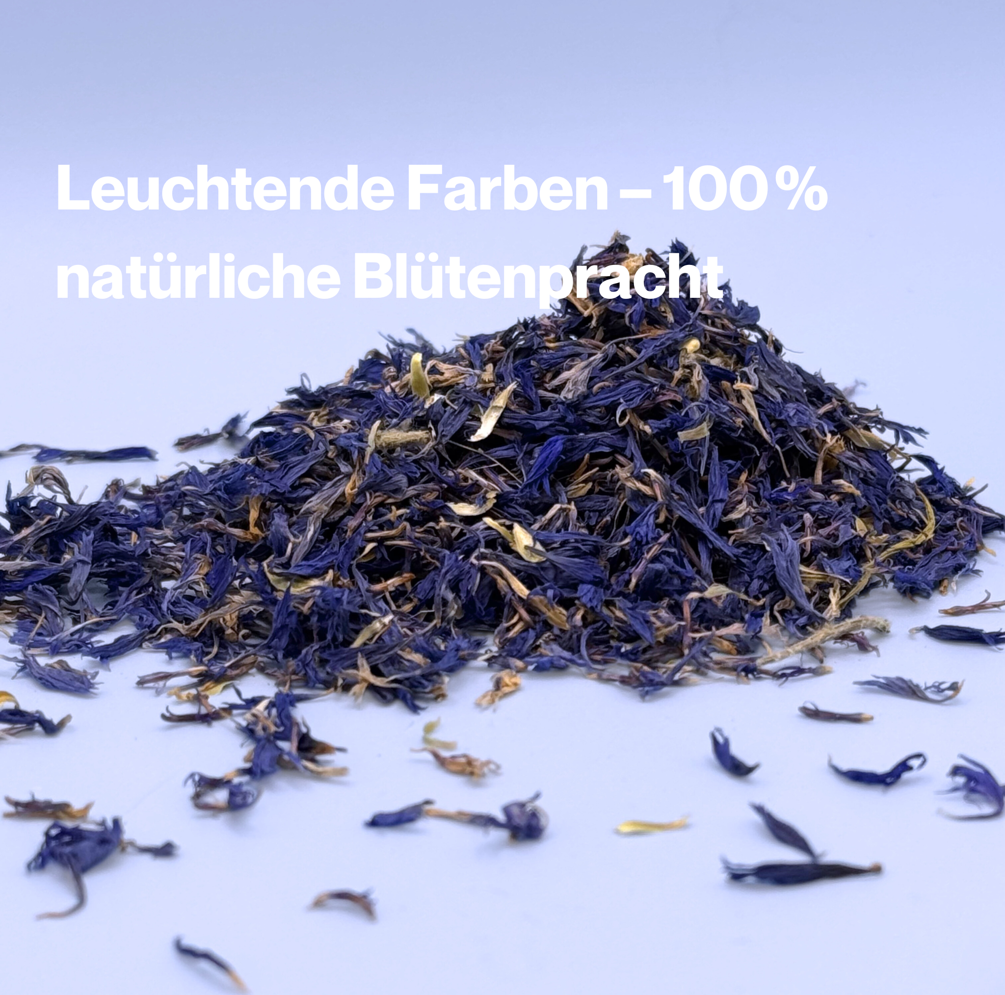 Kornblumenblüten Blau
